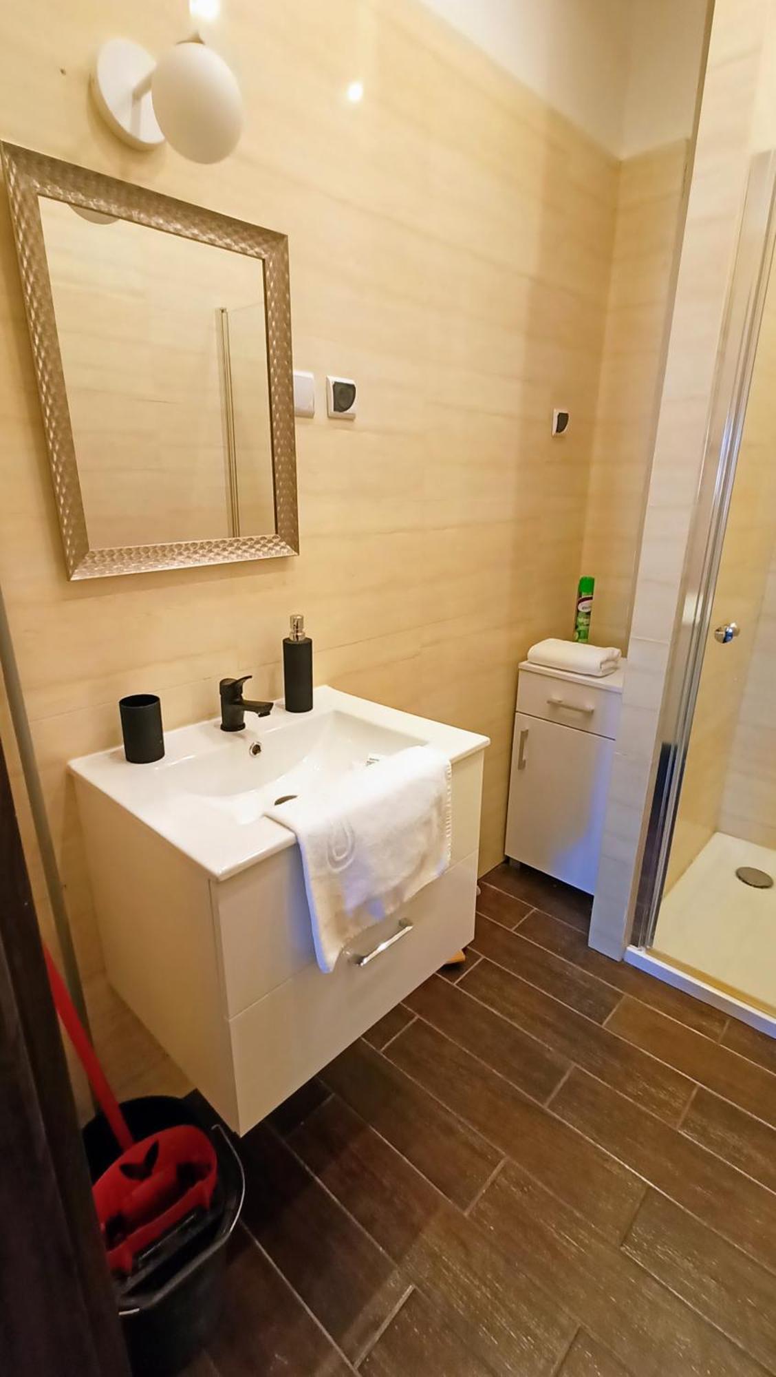 Drzewna - Zeromskiego Apartment Grünberg